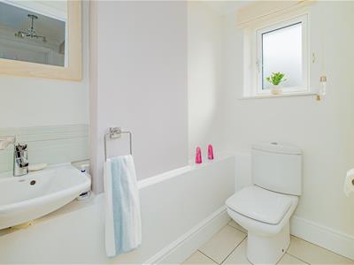 Picture 15